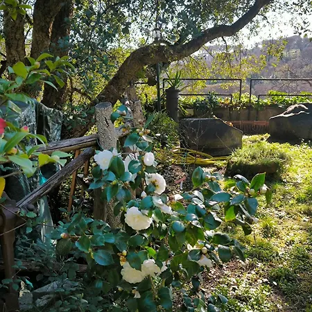 Cassia, Luminoso Open Space Nel , Casa Dei Leoni Appartamento Roma